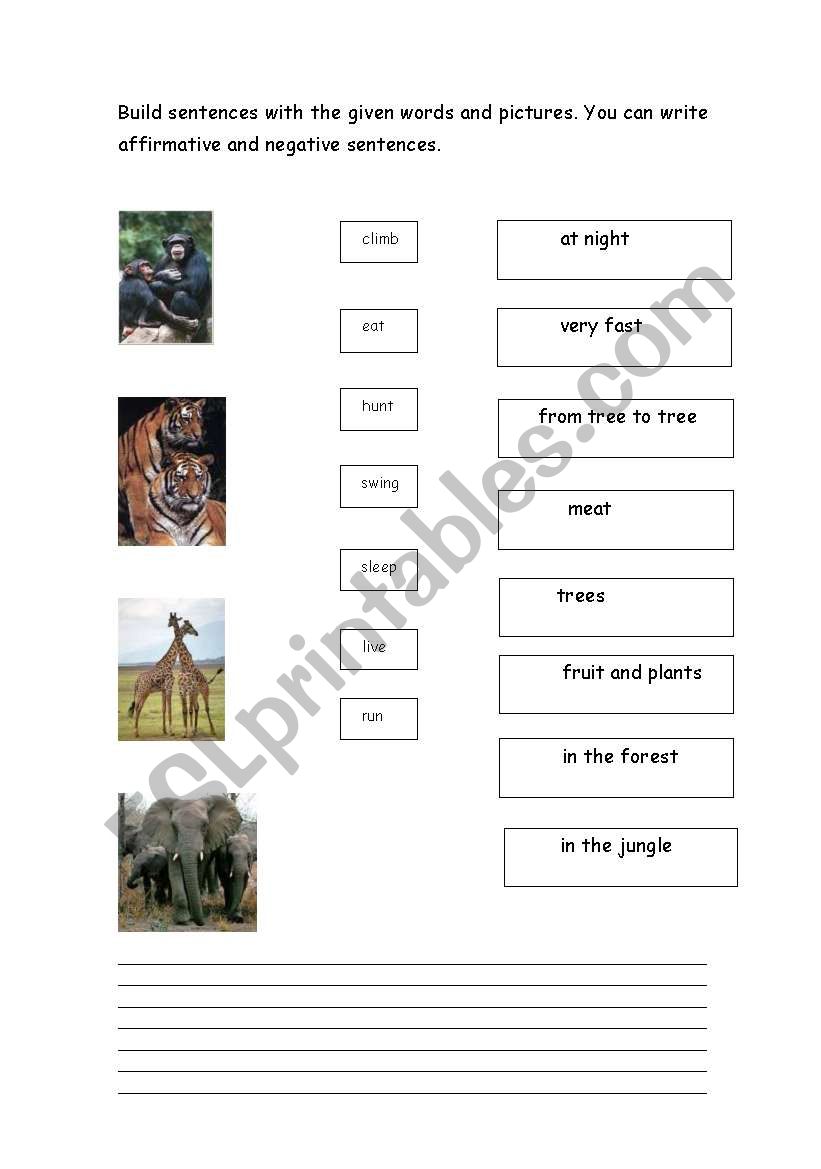 present simple with animals worksheet
