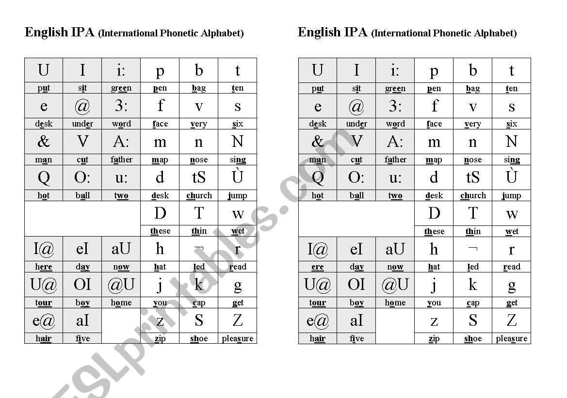 IPA table worksheet