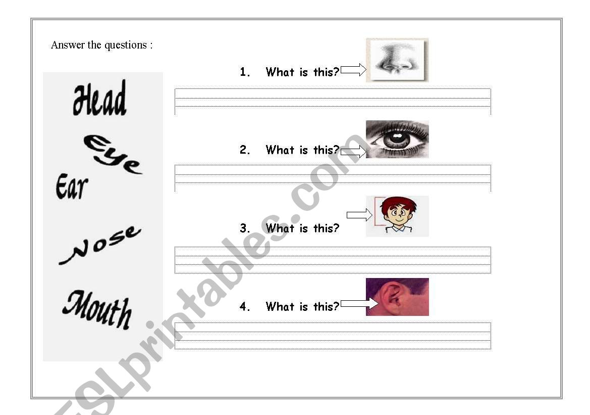 the face worksheet