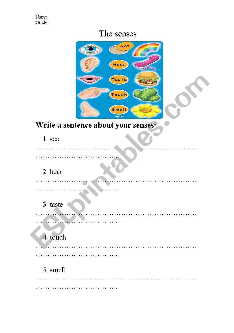 the senses worksheet