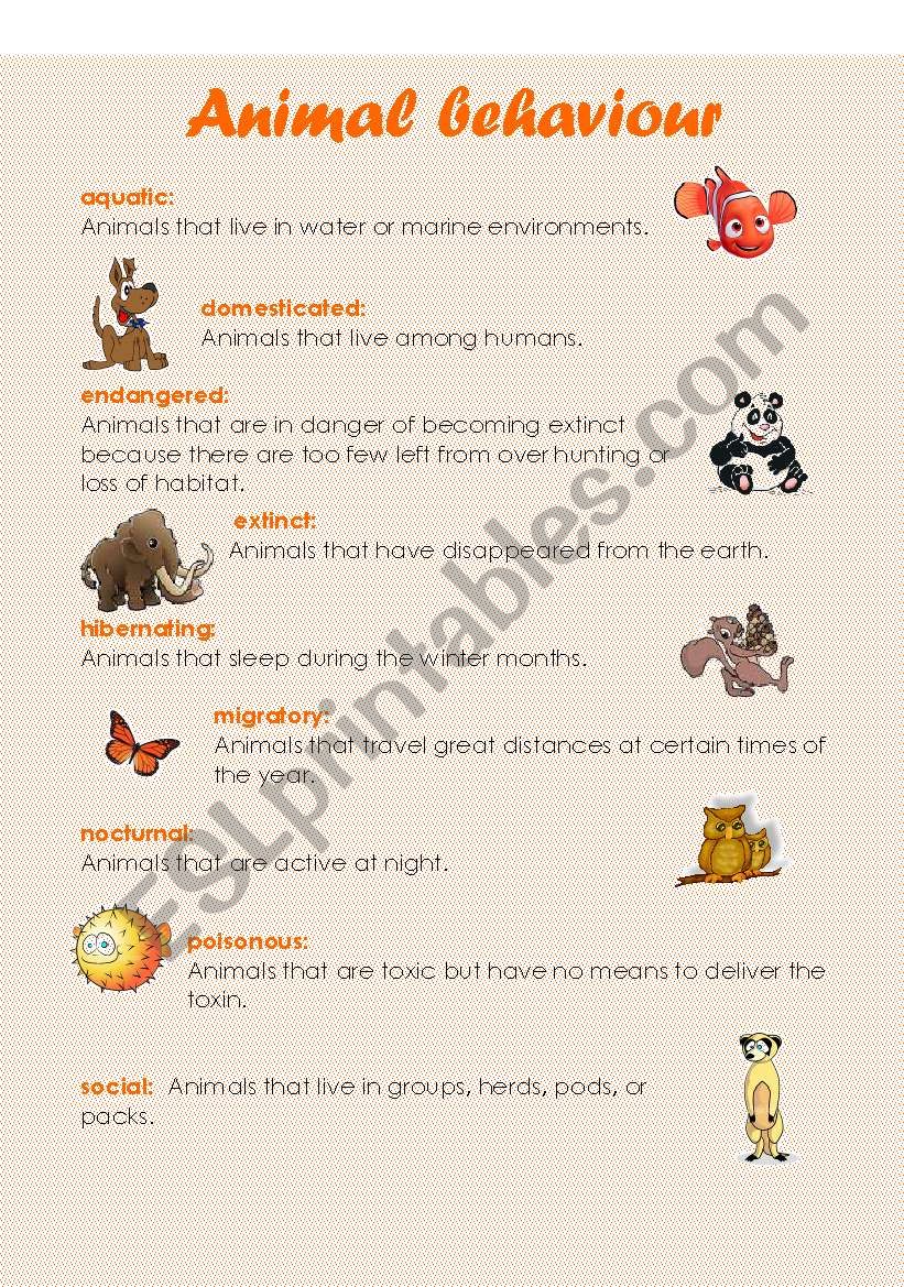 Animal behaviour (5 pages) worksheet