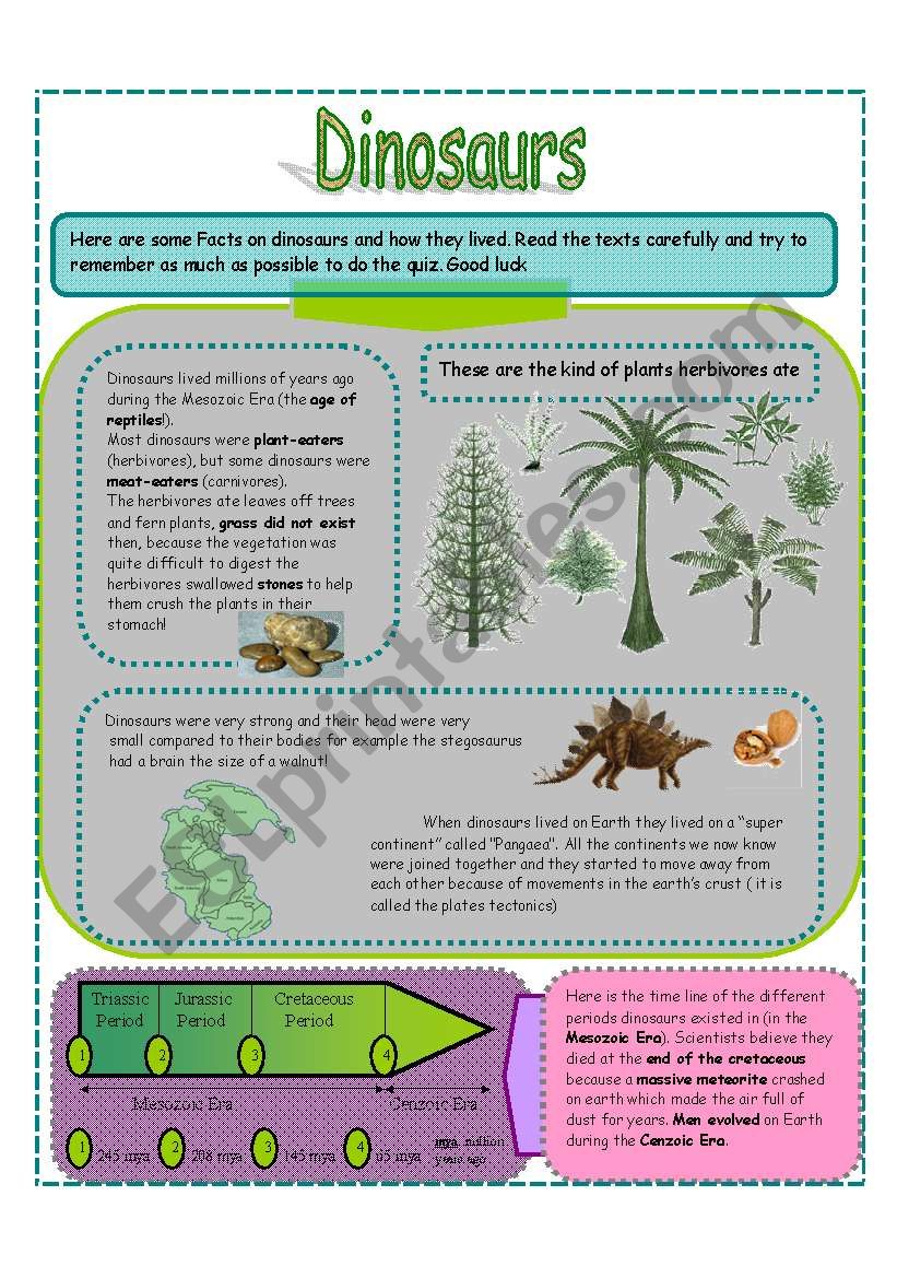 Dinosaurs SET 2 (3 pages) worksheet