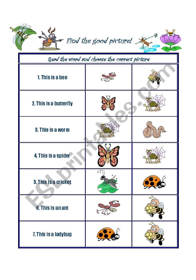 Find the good insect! worksheet