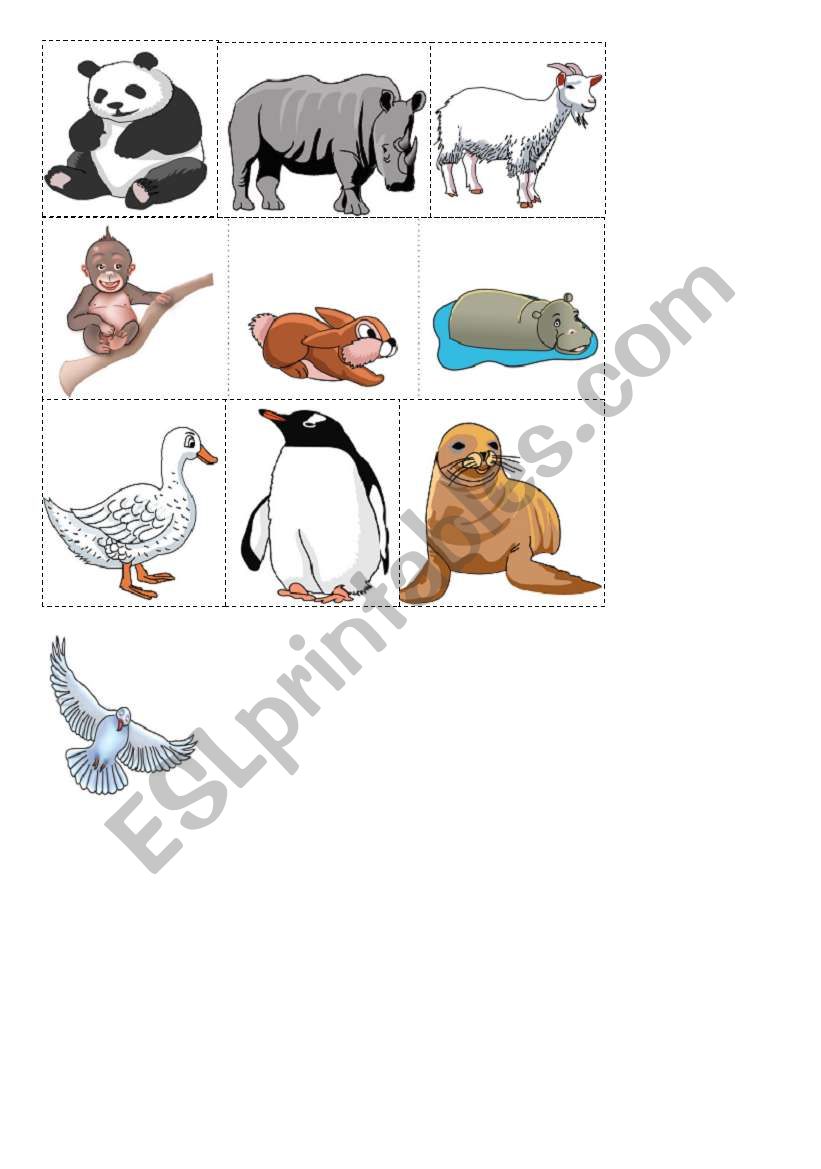 Memory game- animals worksheet