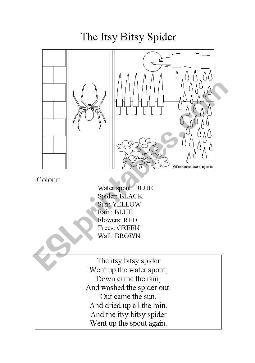 Itsy bitsy spider worksheet