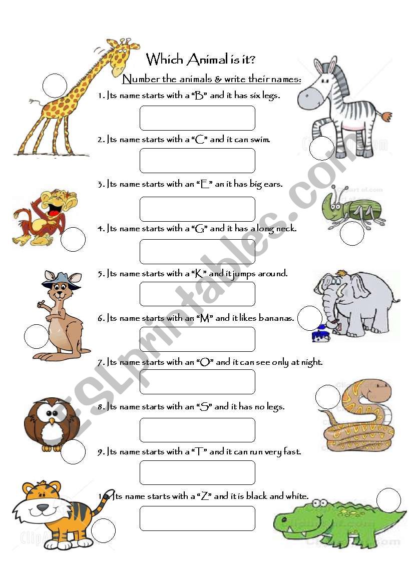 Which animal is it? worksheet