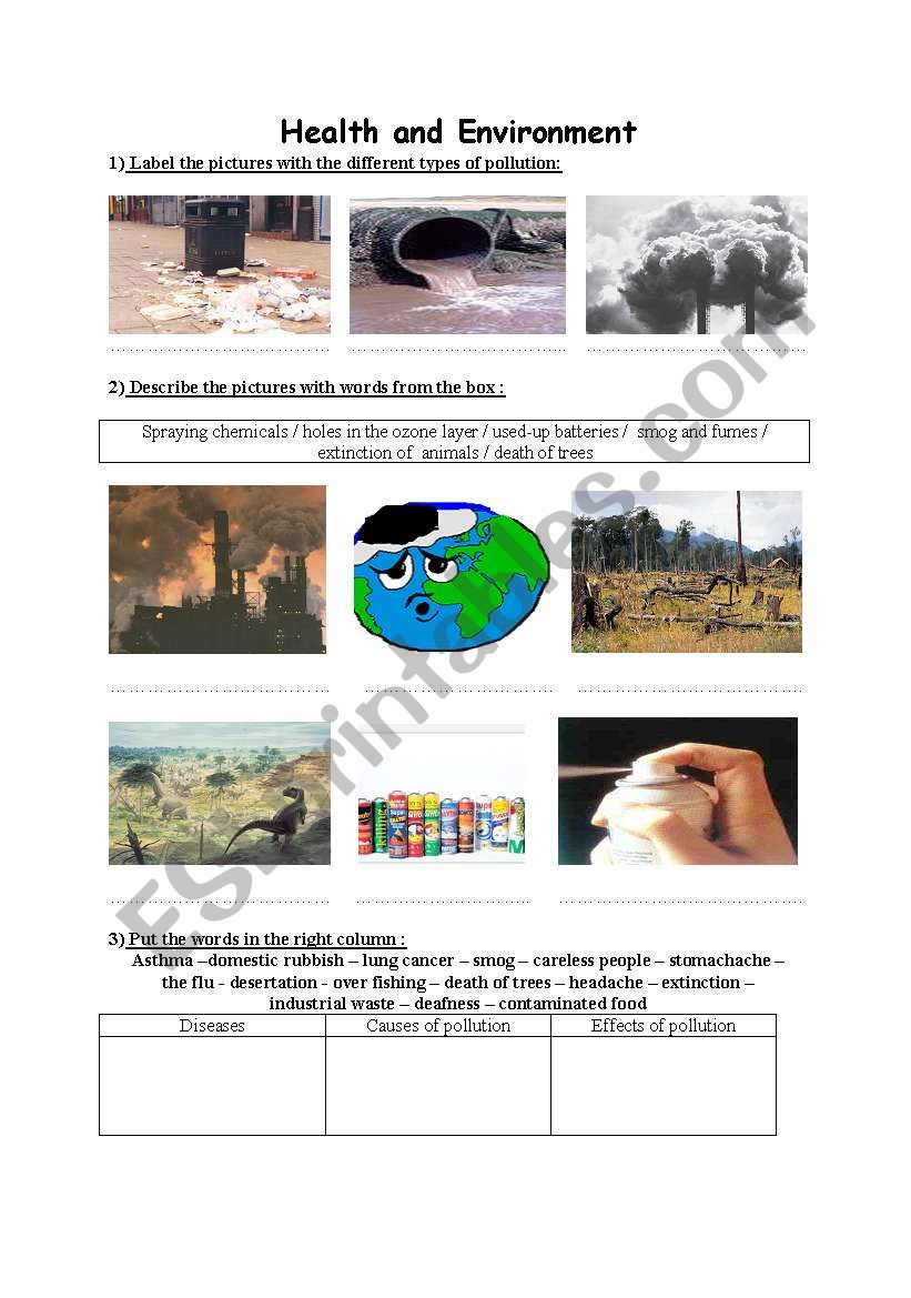 Environment worksheet