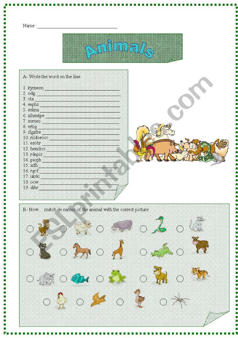 Animals worksheet