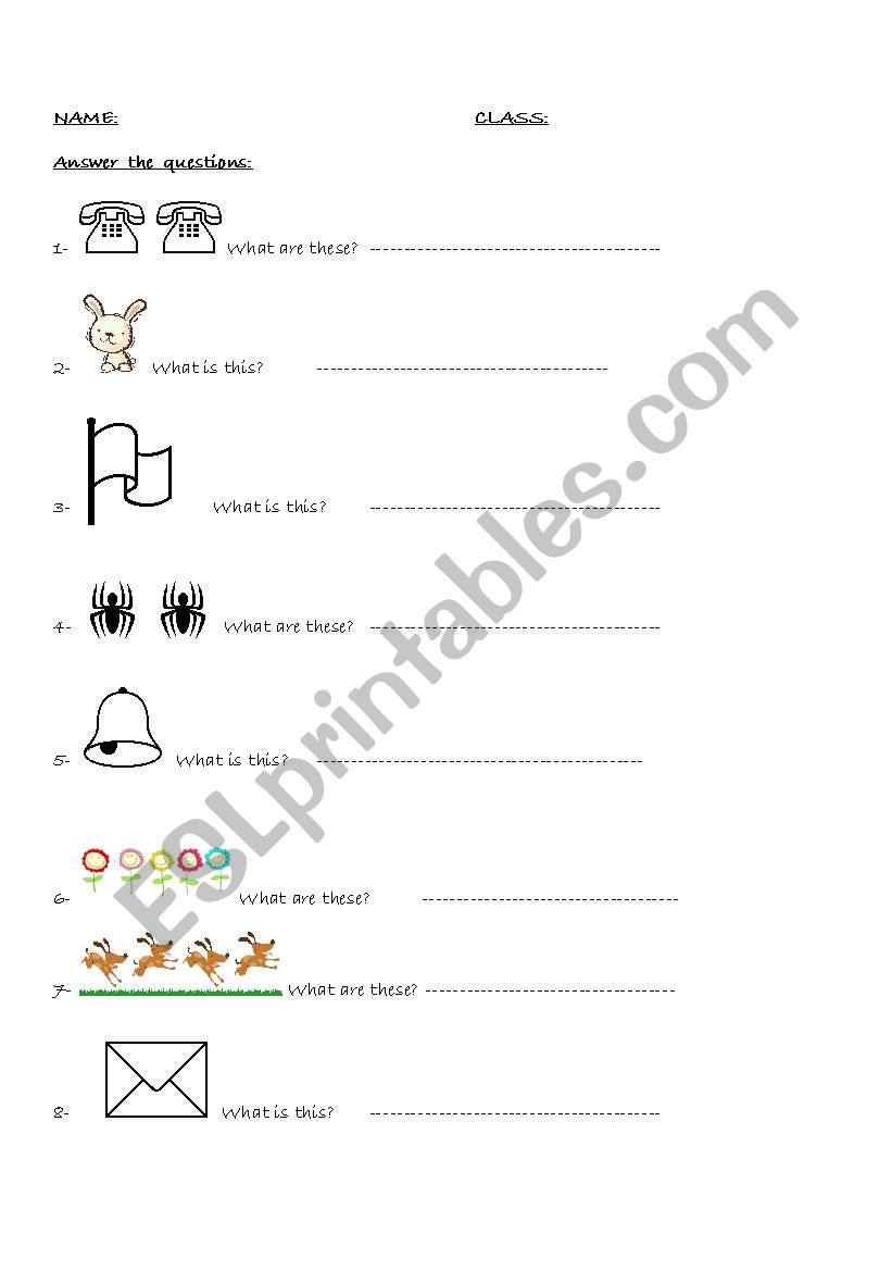 what are thse? worksheet