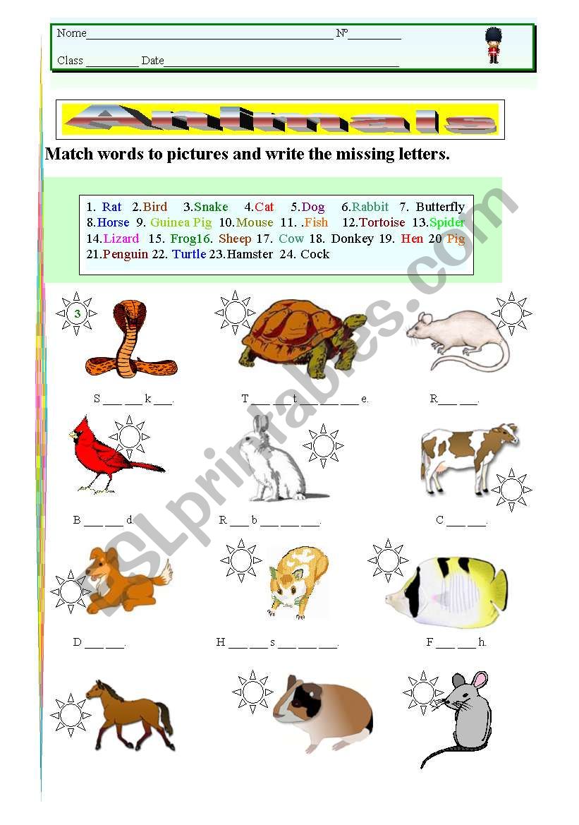 Animals worksheet