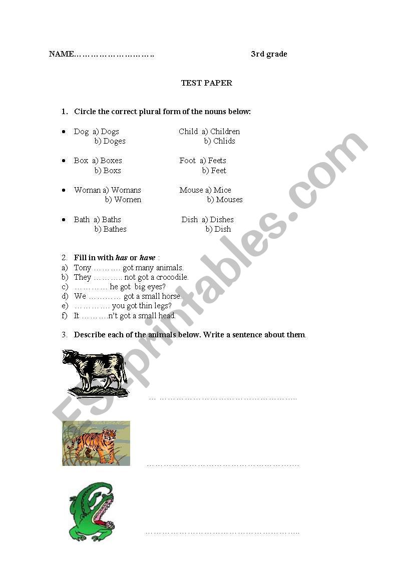 3rd grade test worksheet