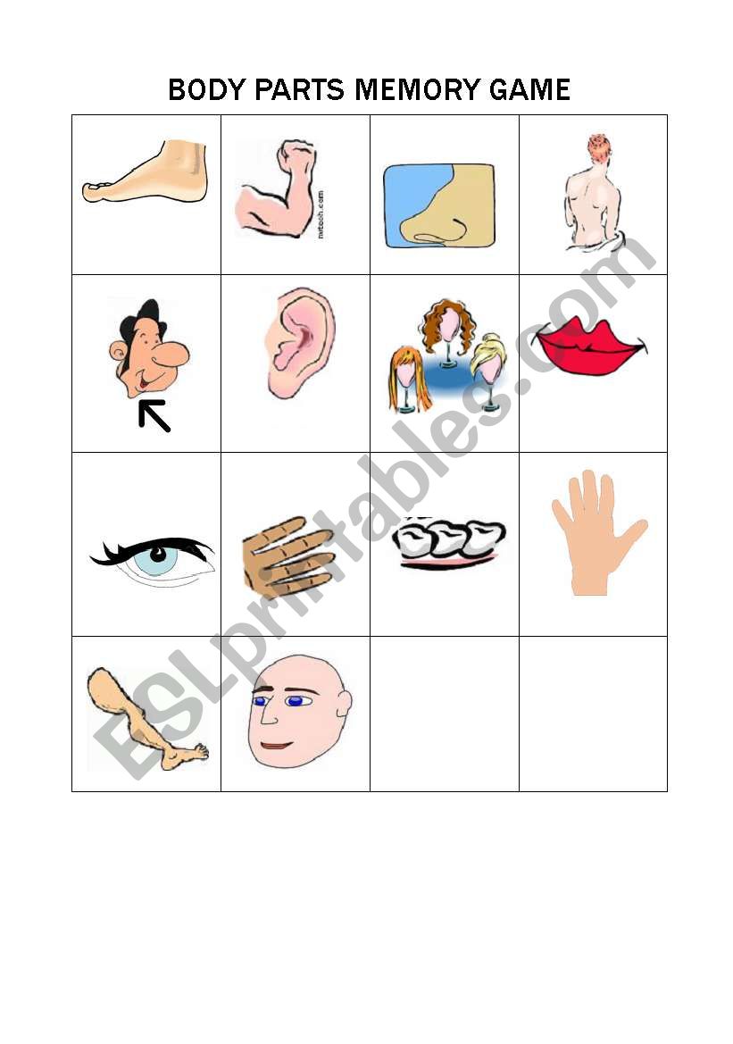 Body memory game worksheet