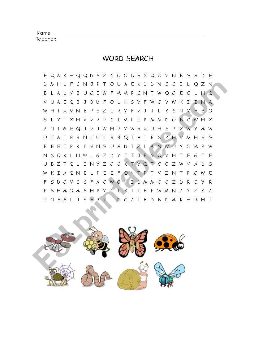 insects word search worksheet