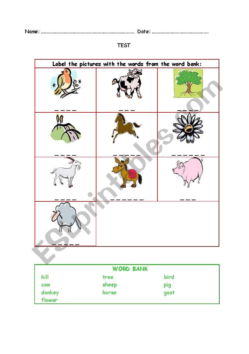 animals worksheet