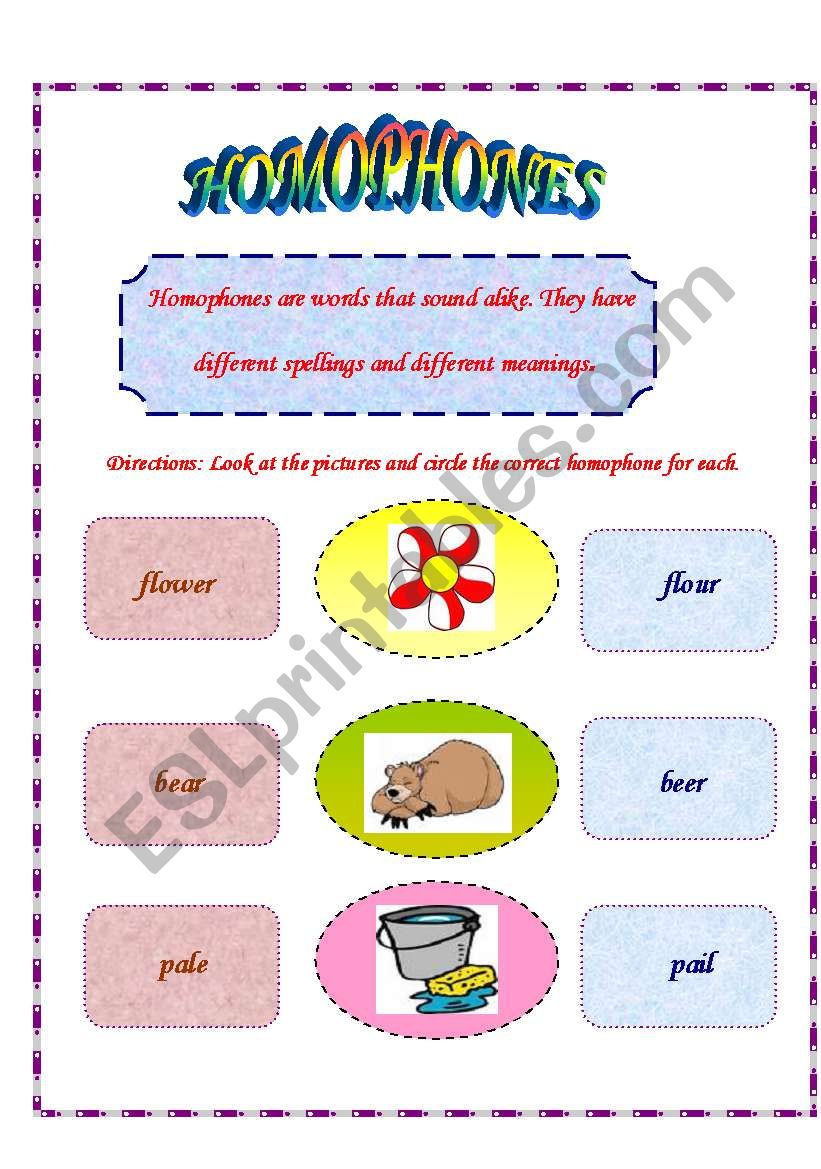 Homophones worksheet