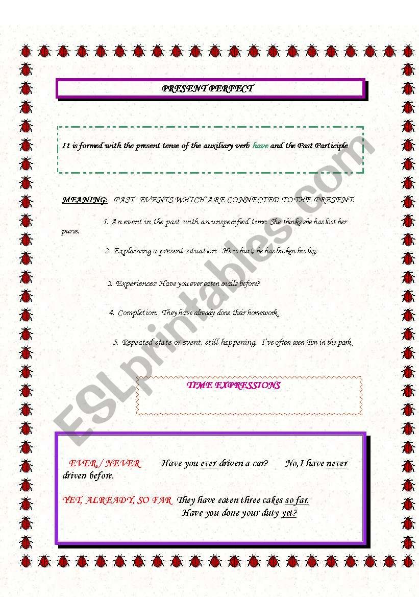 PRESENT PERFECT worksheet