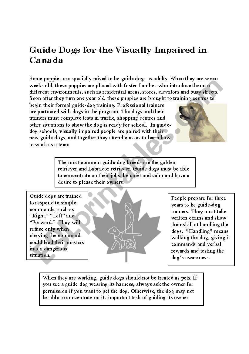 Guide dogs. worksheet