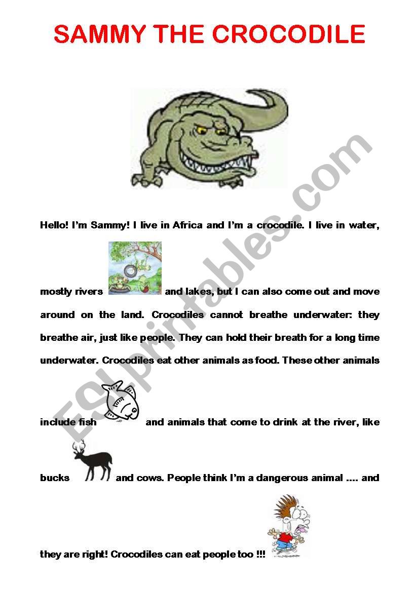 SAMMY THE CROCODILE worksheet