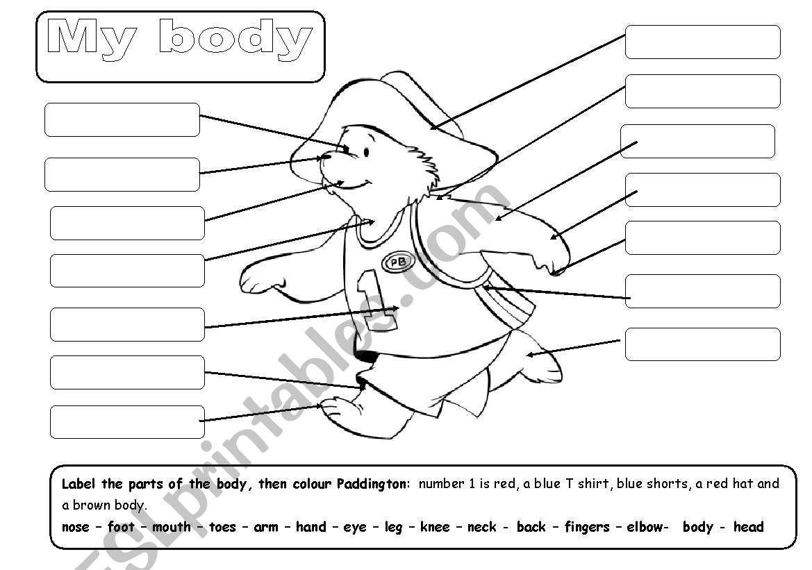 My body 1/2 worksheet