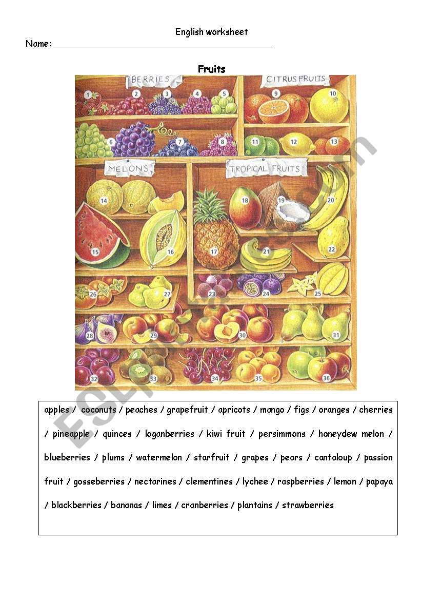 fruits worksheet