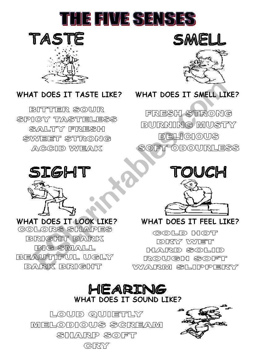 THE FIVE SENSES worksheet