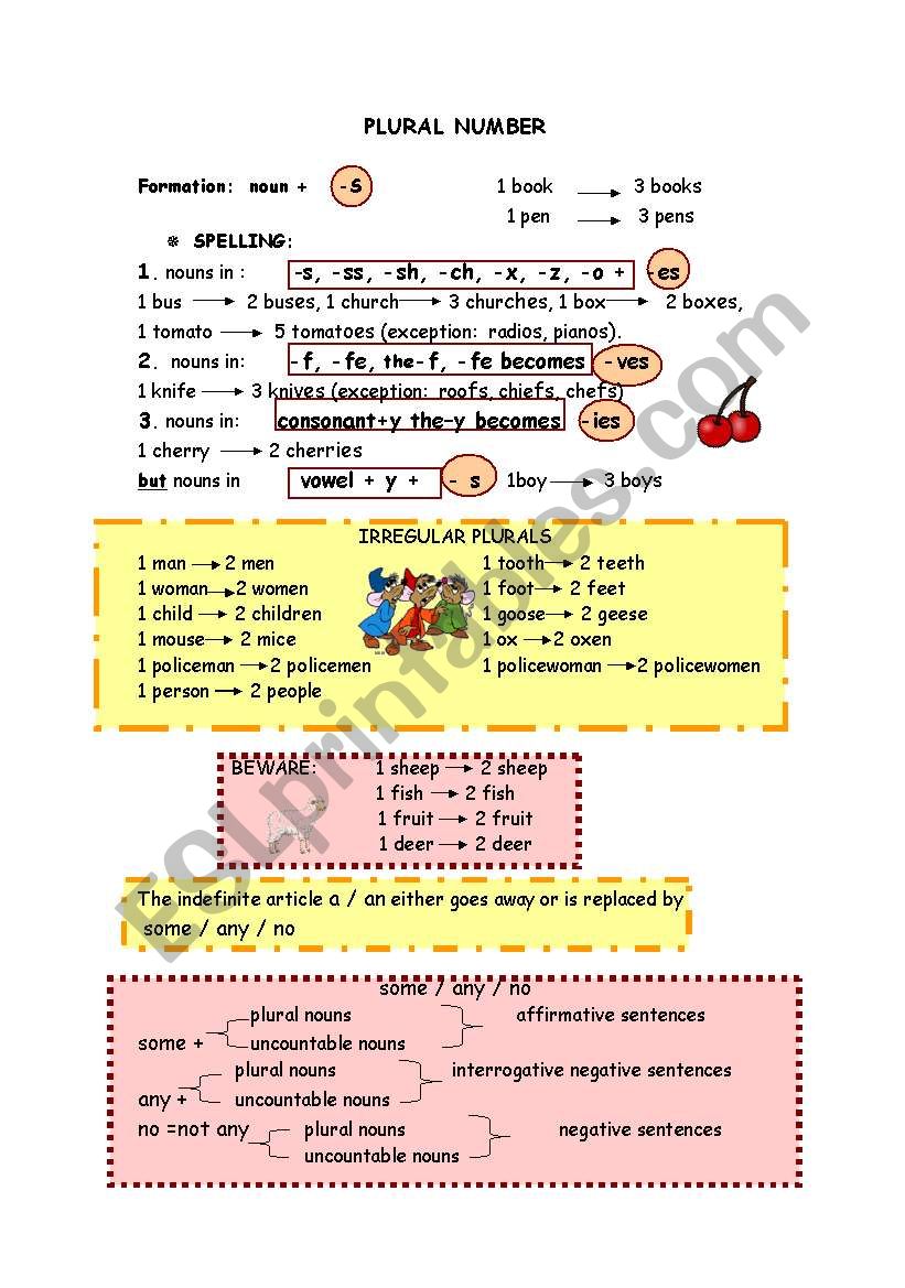 PLURALS worksheet