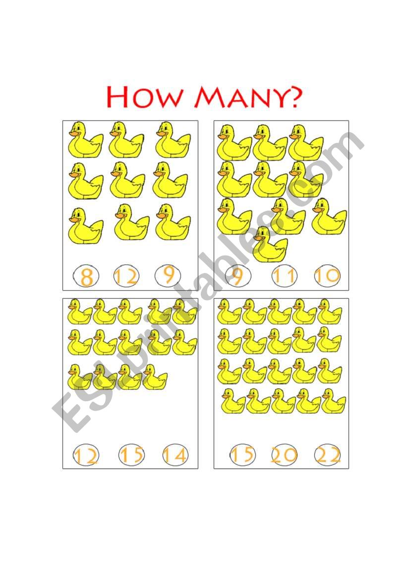 How Many ducks? worksheet