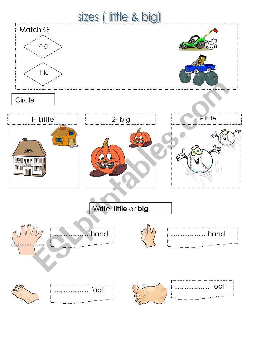 sizes little & big worksheet