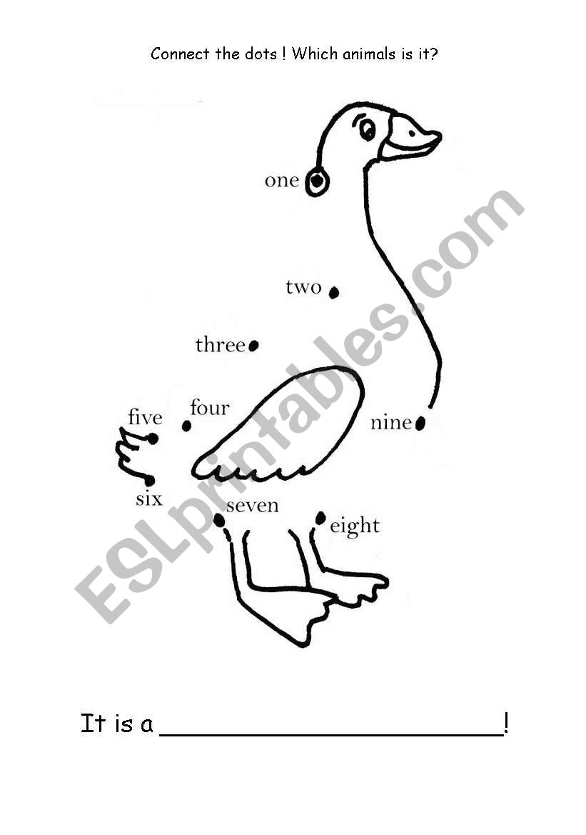 Connect the dots - duck worksheet