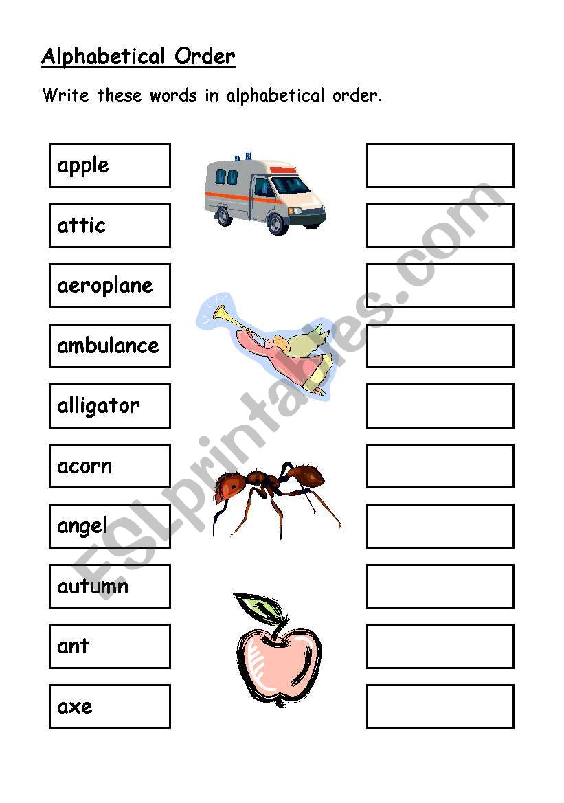 Alphabetical Order worksheet