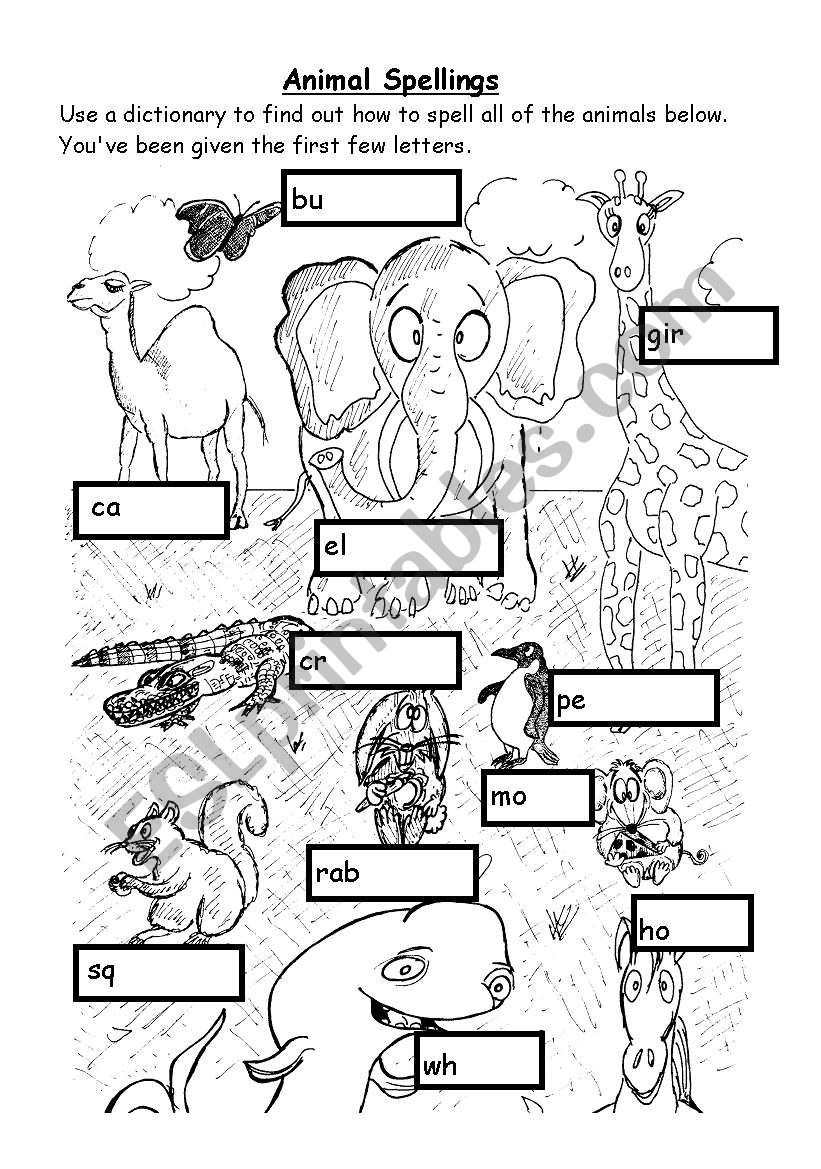 Animal spellings worksheet