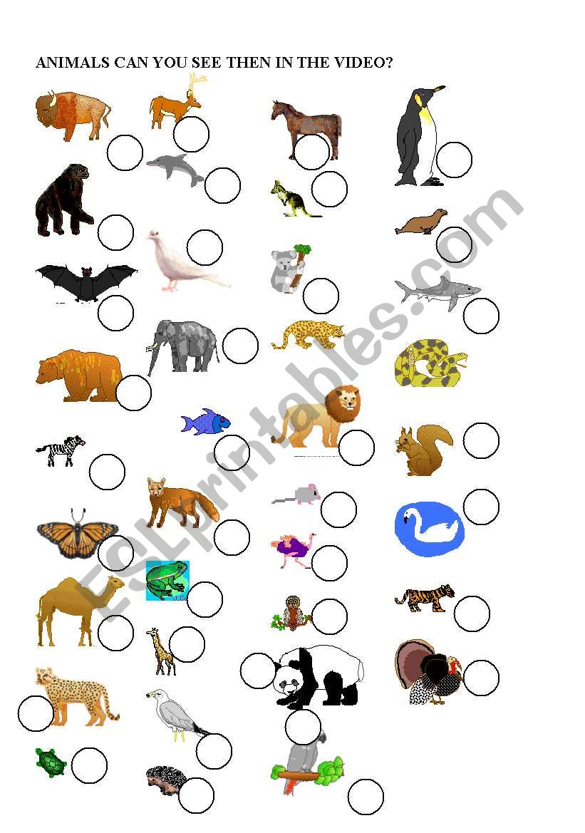 ANIMALS worksheet