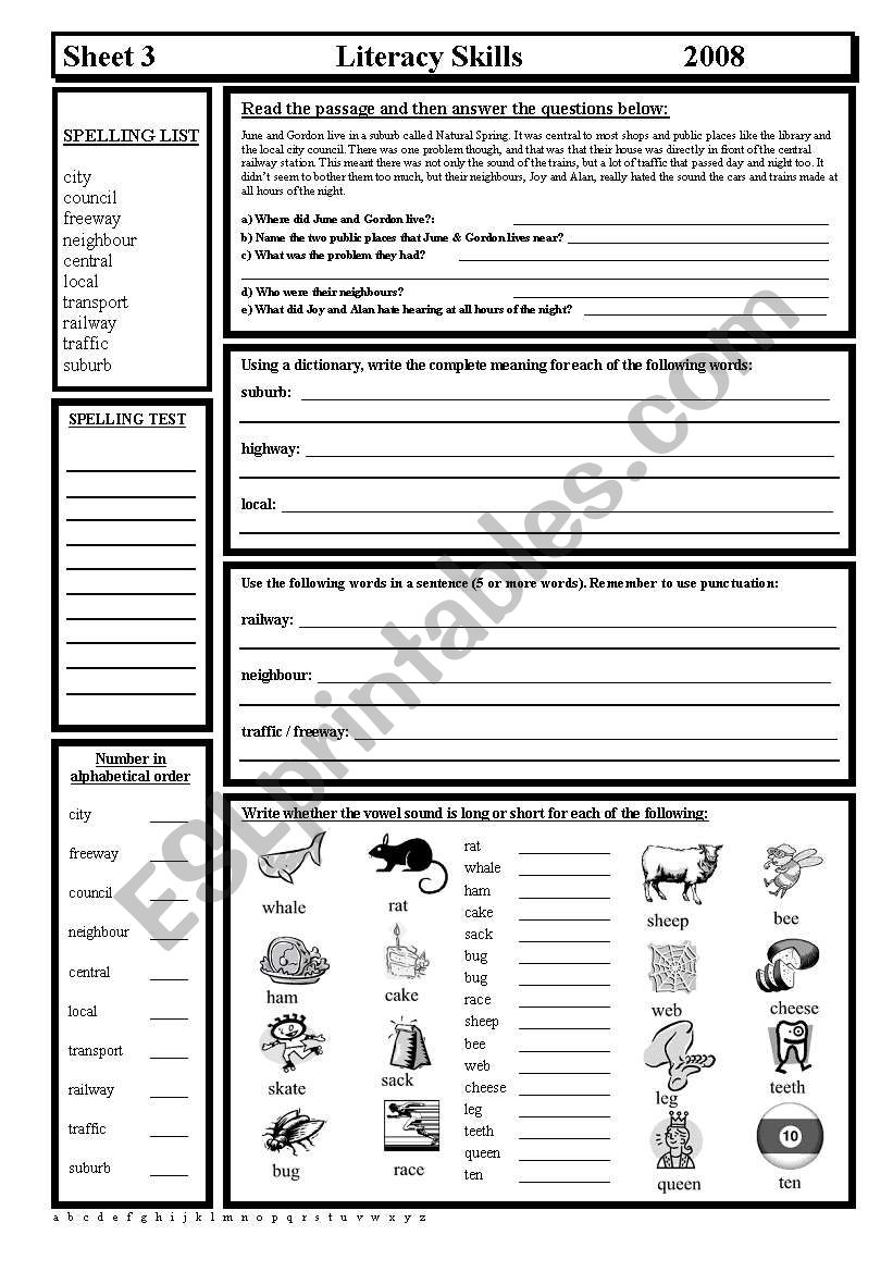 Literacy Skills worksheet