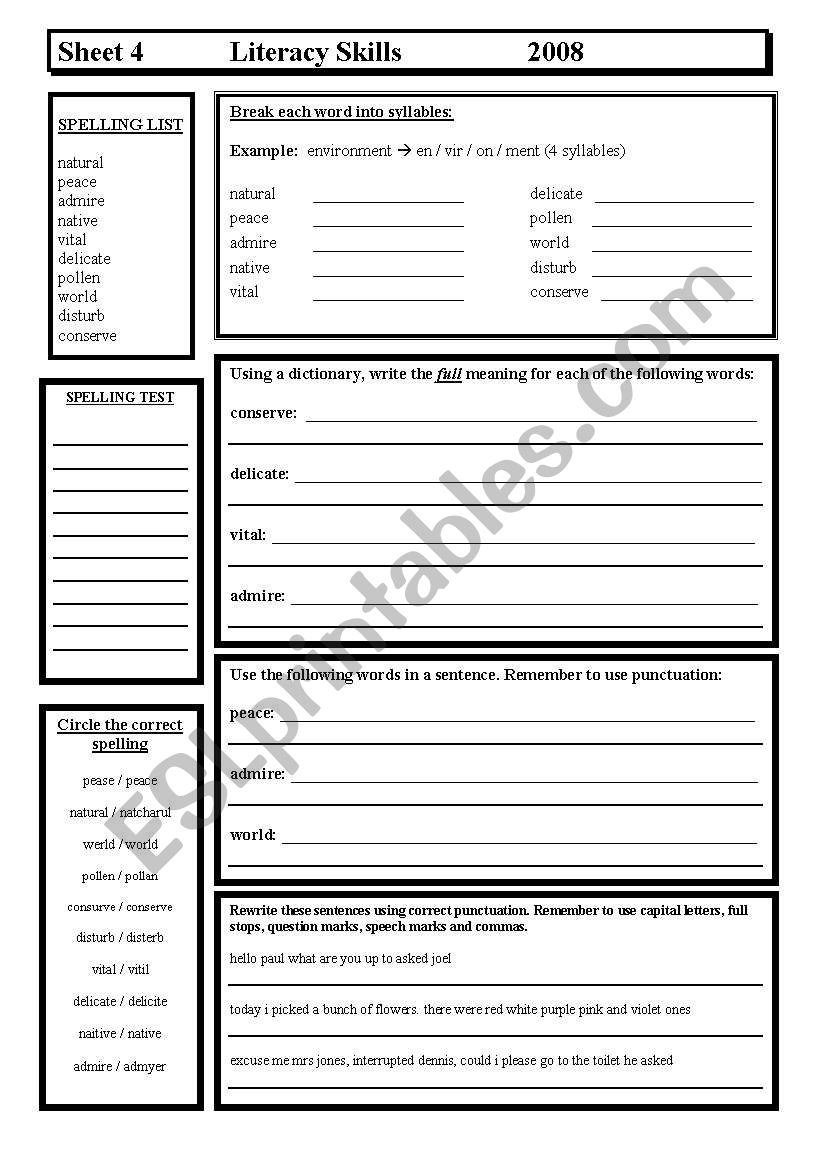 Literacy Skills worksheet