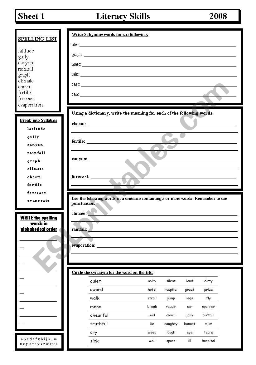 Literacy Skills worksheet