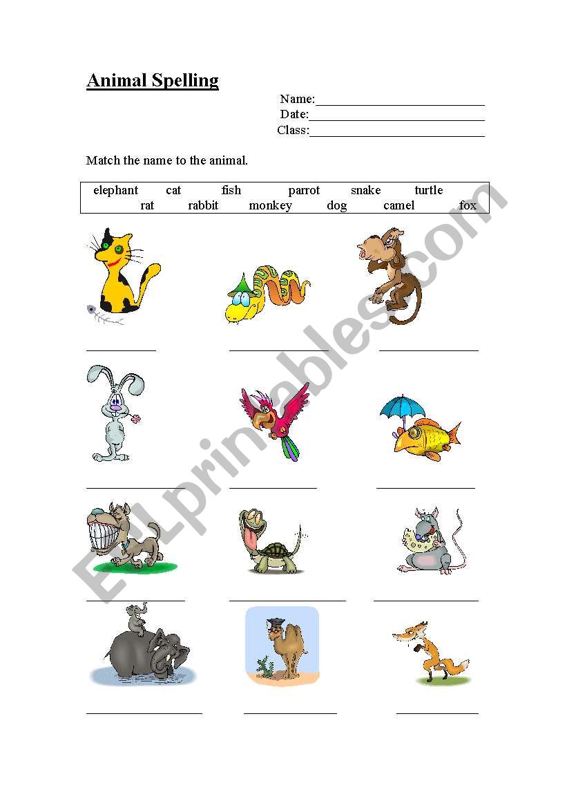 Animal Spelling worksheet