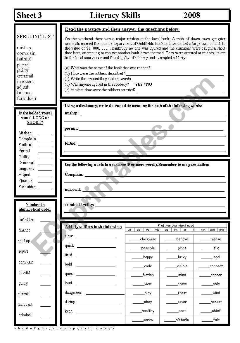 Literacy Skills worksheet