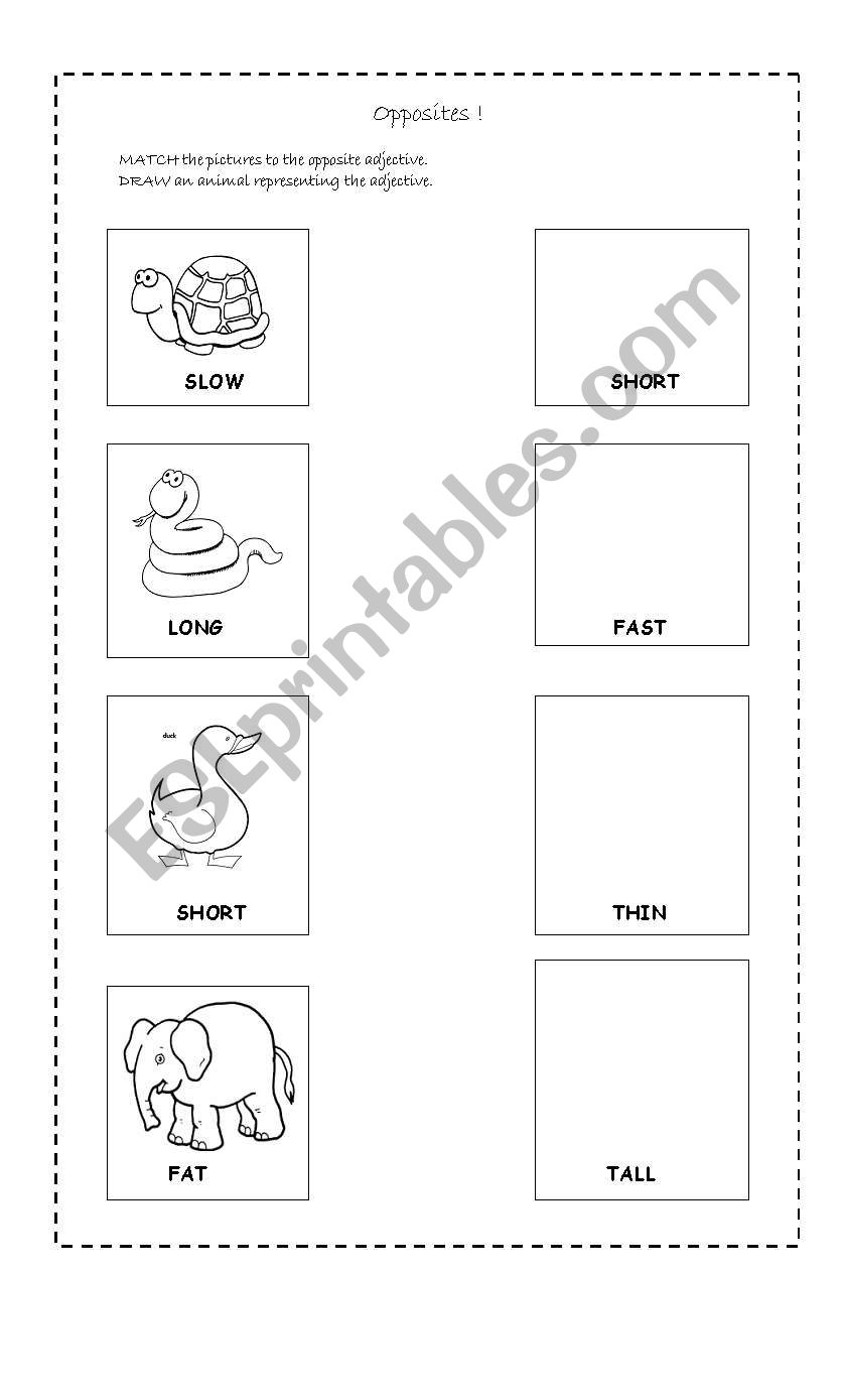 Lets draw and match ! worksheet