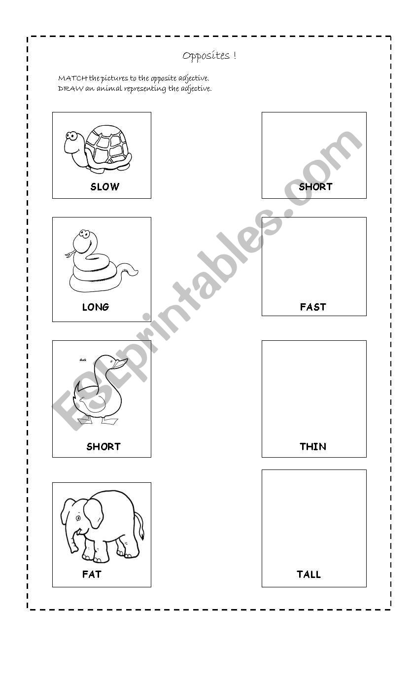 Lets draw and match ! worksheet