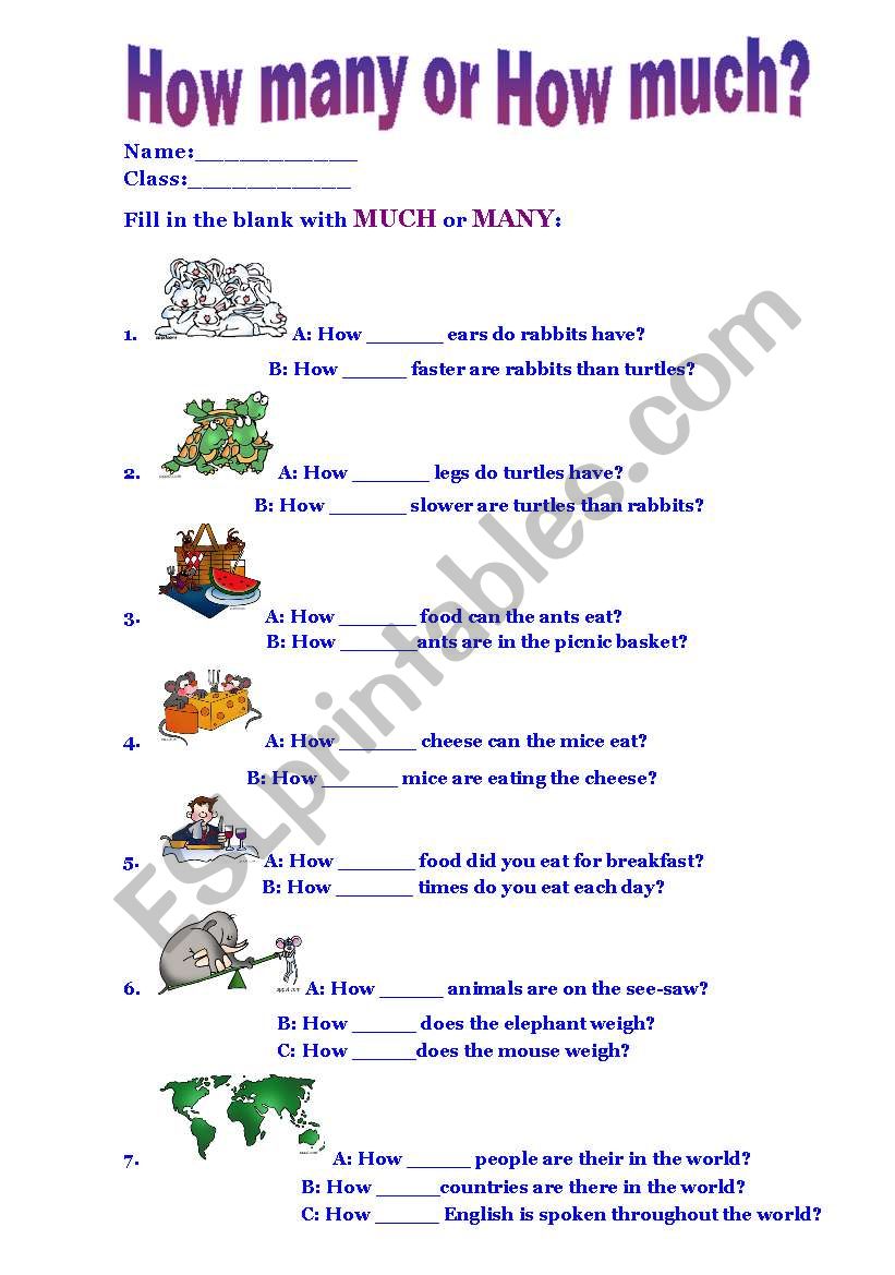 How Many or How Much? worksheet