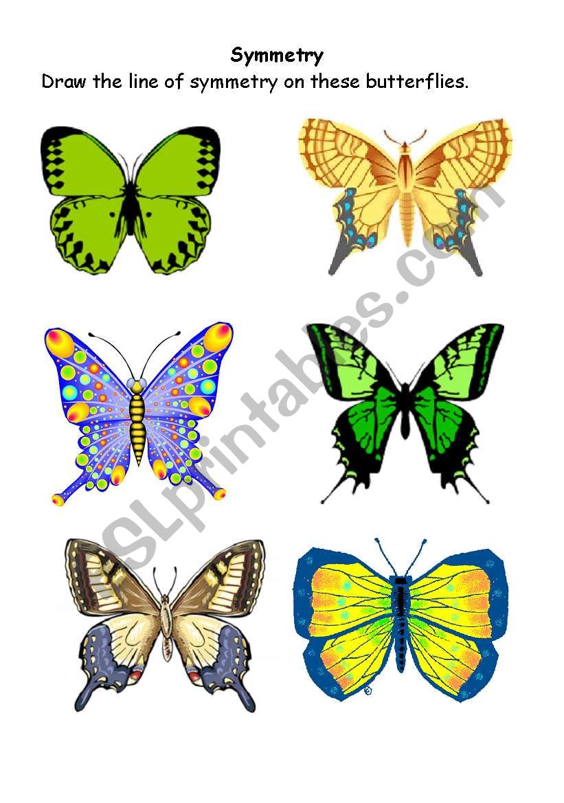 Symmetrical butterflies worksheet