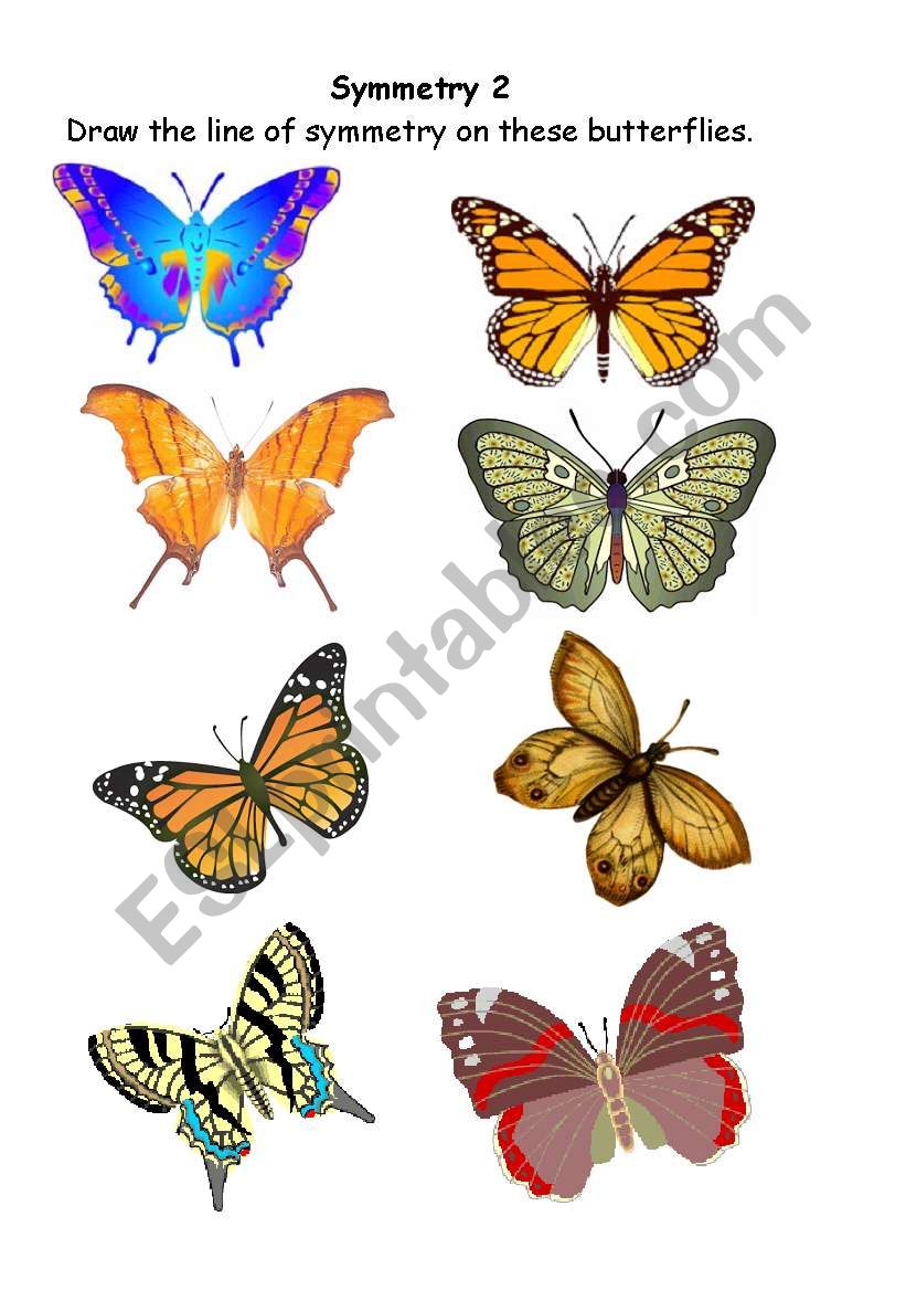 Symmetrical butterflies 2 worksheet