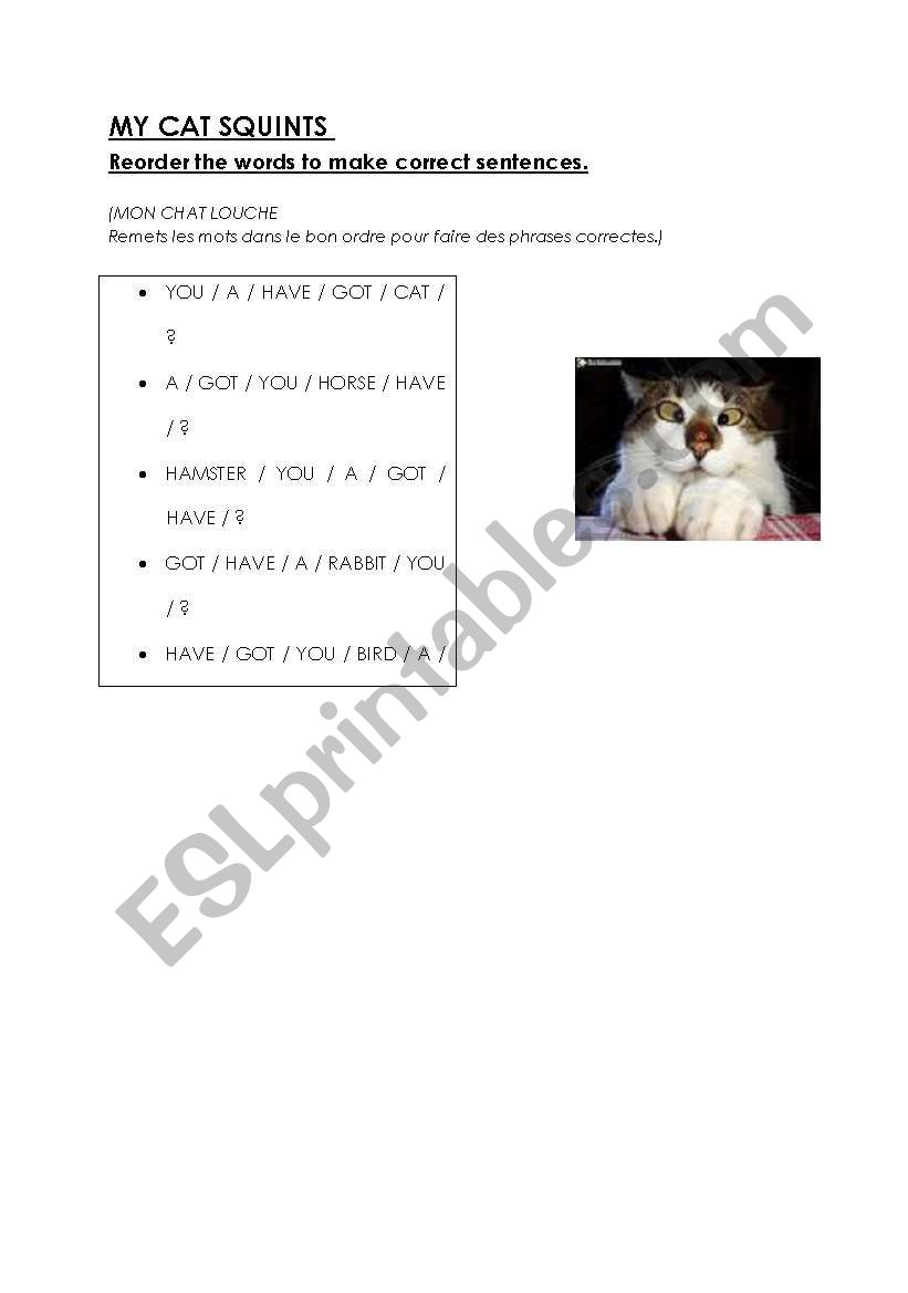 My cat squints worksheet