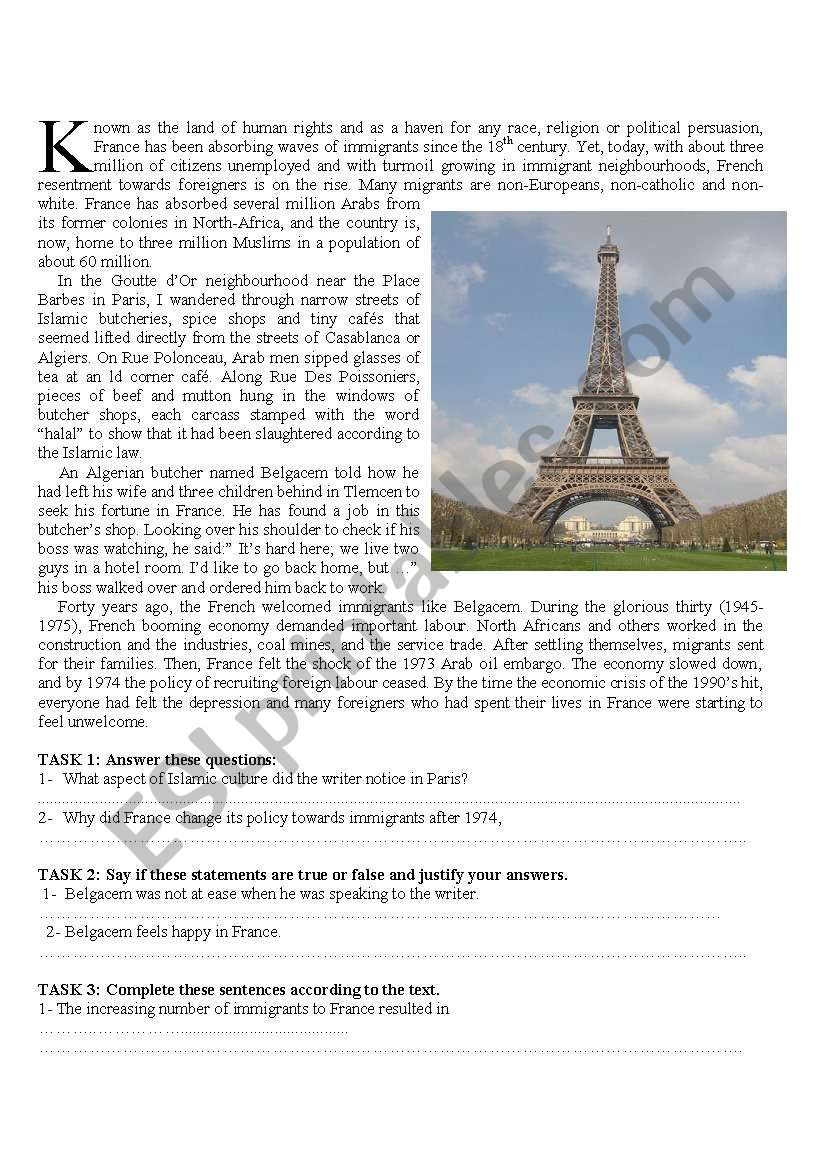 France and its immigrants worksheet