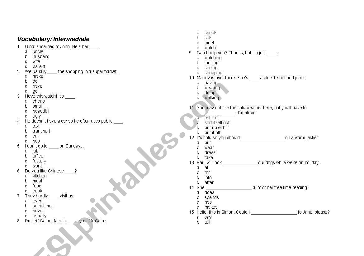 Vocabulary Revision - Intermediate