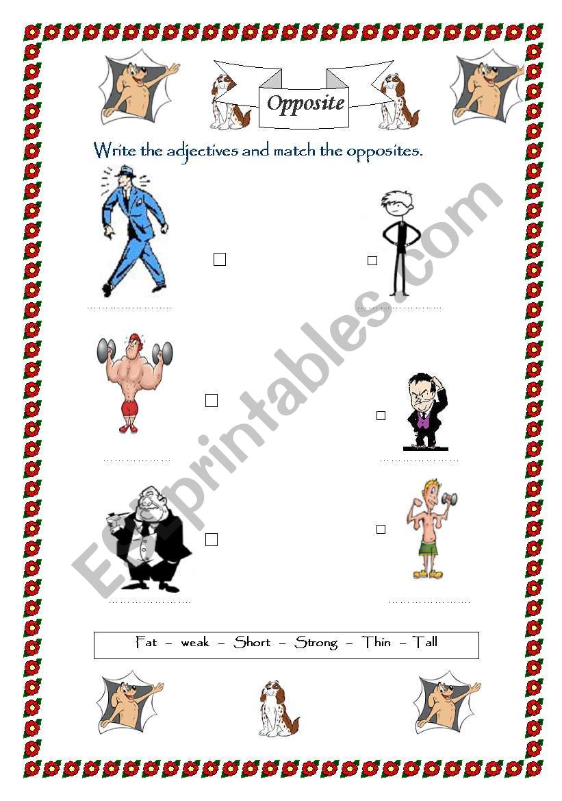 opposites worksheet