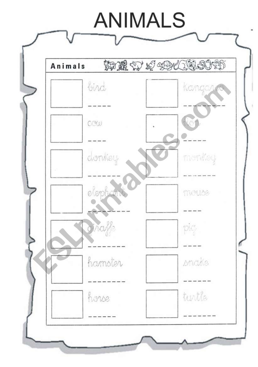 animals worksheet