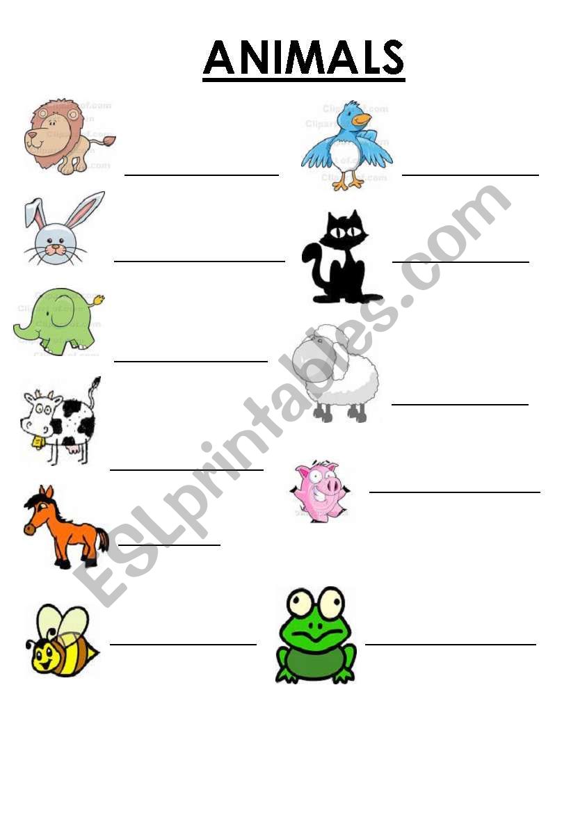 Animals worksheet