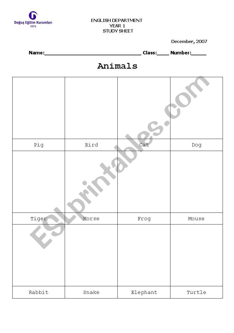 animal execises worksheet