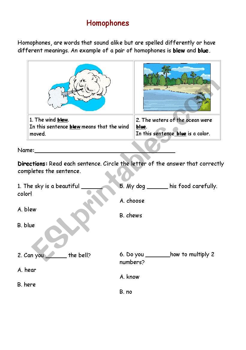 Homophones excercise 1 worksheet